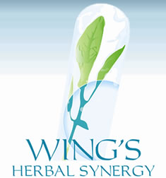 wings products pretoria